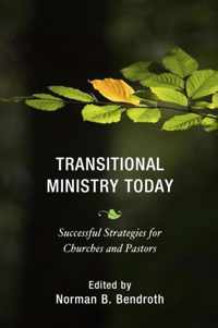 Transitional Ministry Today