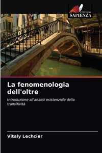 La fenomenologia dell'oltre