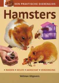 Hamsters