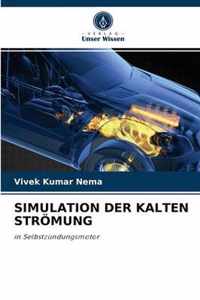 Simulation Der Kalten Stroemung