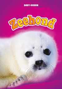 Baby-dieren  -   Zeehond