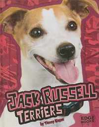 Jack Russell Terriers