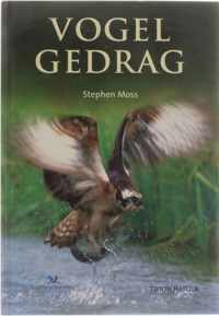 Vogelgedrag