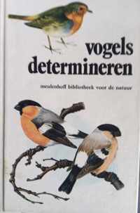 Vogels determineren