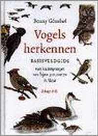 VOGELS HERKENNEN - BASISVELDGIDS