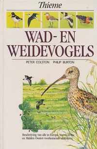 Wad- en weidevogels