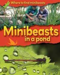 Minibeasts In A Pond