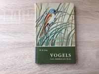 Vogels van moeras en plas