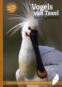 Vogels van Texel