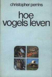 Hoe vogels leven