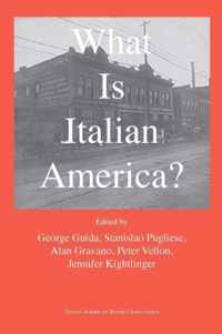 What Is Italian America?