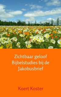 Zichtbaar geloof Bijbelstudies bij de Jakobusbrief