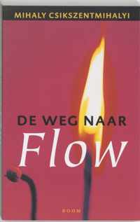 De Weg Naar Flow