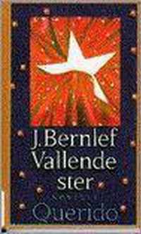 Vallende ster - J. Bernlef