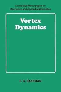 Vortex Dynamics