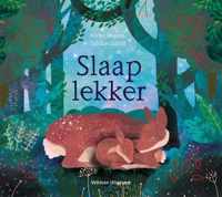 Slaap lekker - Nick Benson - Hardcover (9789048317790)