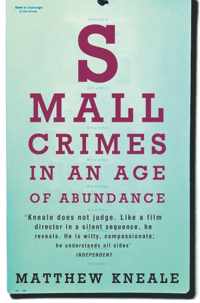 Small Crimes In An Age Of Abundance