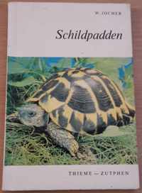 Schildpadden