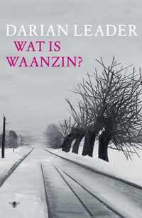 Wat is waanzin?