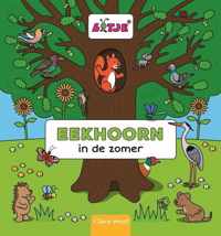 Eekhoorn in de zomer