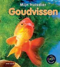 Mijn Huisdier  -   Goudvissen