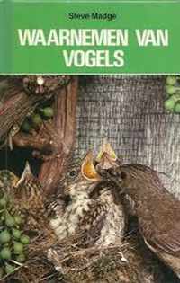 Waarnemen van vogels