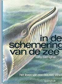 In de schemering van de zee