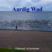 Aardig Wad