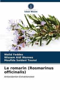 Le romarin (Rosmarinus officinalis)