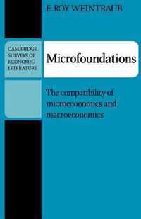 Microfoundations