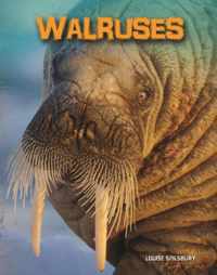 Walruses