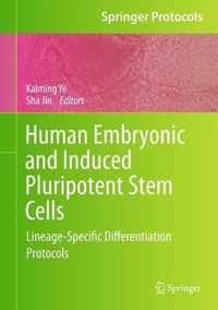 Human Embryonic and Induced Pluripotent Stem Cells