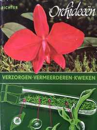 Orchideeen verzorgen vermenigvuldigen