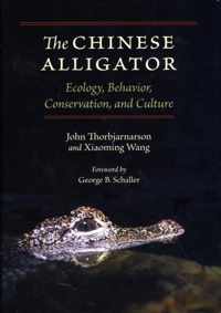 The Chinese Alligator