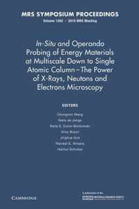 In-Situ and Operando Probing of Energy Materials at Multiscale Down to Single Atomic Column - The Power of X-Rays, Neutrons and Electron Microscopy