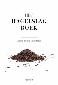 Het Hagelslagboek