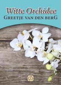 Witte orchidee