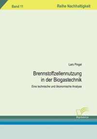 Brennstoffzellennutzung in der Biogastechnik