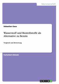 Wasserstoff und Biotreibstoffe als Alternative zu Benzin