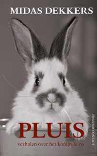 Pluis