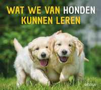 Wat we van honden kunnen leren