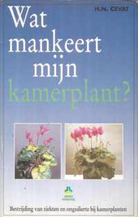 WAT MANKEERT MIJN KAMERPLANT ?