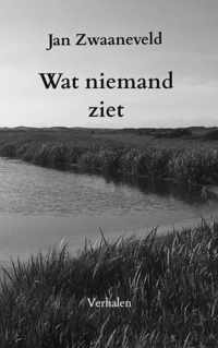 Wat niemand ziet - Jan Zwaaneveld - Paperback (9789464355147)