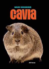 Mijn Huisdier - Cavia