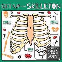 Set Up the Skeleton