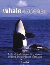 Whale Watcher