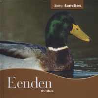 Dierenfamilies  -   Eenden