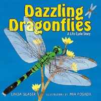 Dazzling Dragonflies