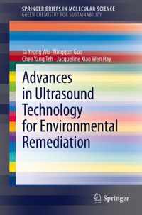 Advances in Ultrasound Technology for Environmental Remediation