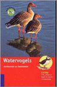 Watervogels herkennen en benoemen